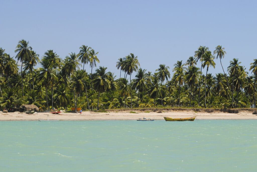 Maceió é uma das opções mais completas para quem procura praias sem abrir mão da estrutura de uma capital.