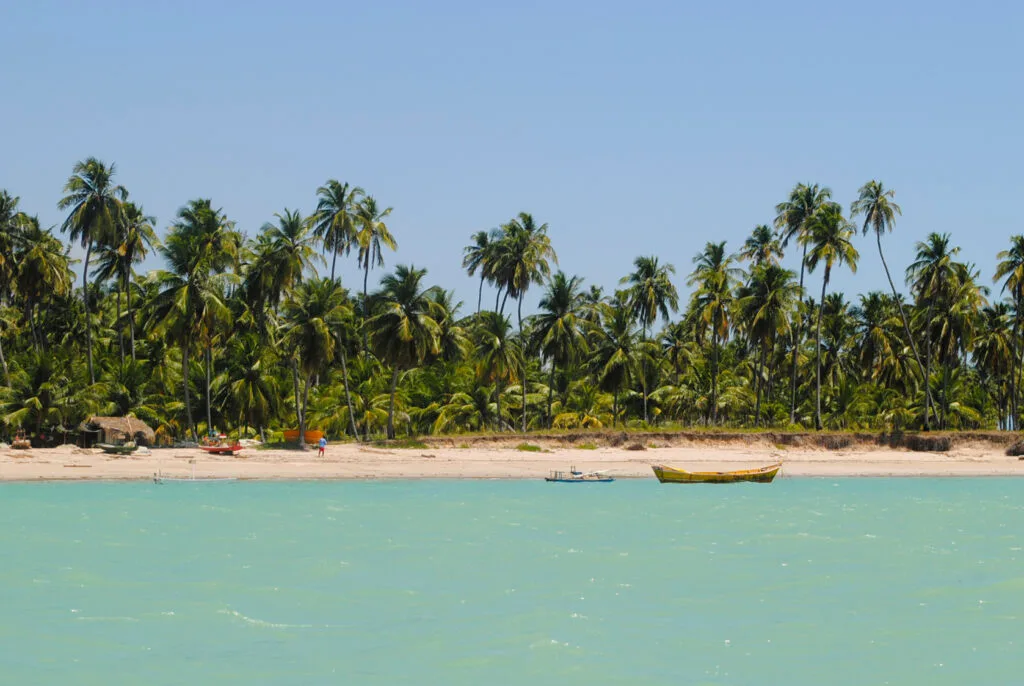 Maceió é uma das opções mais completas para quem procura praias sem abrir mão da estrutura de uma capital.