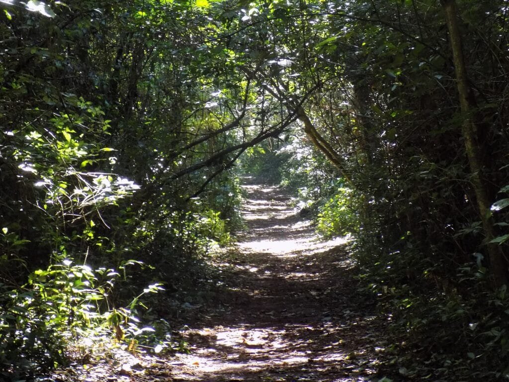 Trilhas e piscinas naturais com capacidade limitada precisam de agendamento.