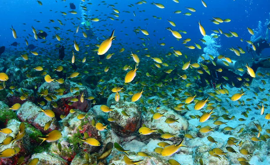 Aventura 10 Melhores turismo de aventura no Brasil - aventura,Brasil - Nordeste Aventura 10 Melhores turismo de aventura no Brasil - aventura,Brasil - Nordeste