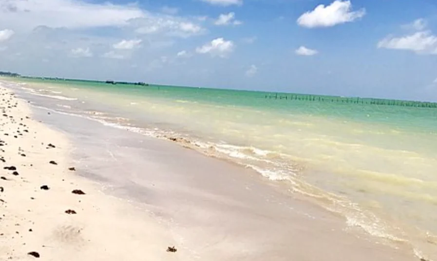 Maragogi - Praias, restaurantes e bares - Maragogi ,Maragogi ,Alagoas - Brasil Ponta de Mangue fica na parte norte do município e costuma agradar viajantes que procuram uma praia com ambiente mais tranquilo.