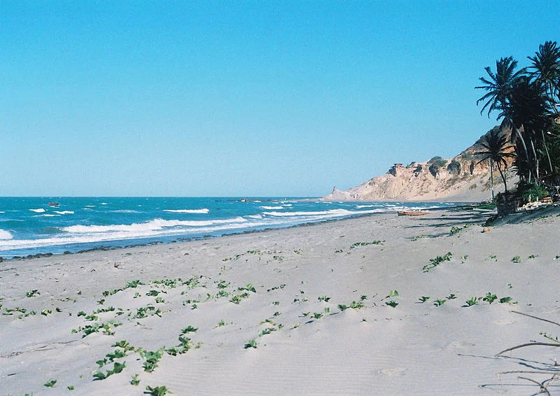 Maragogi - Praias, restaurantes e bares - Maragogi ,Maragogi ,Alagoas - Brasil Peroba está próxima da divisa entre Alagoas e Pernambuco. A praia possui águas mornas, coqueiros, pousadas e casas de temporada.