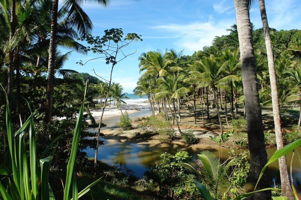 Itacaré: praias, trilhas, o que fazer e roteiro - Itacaré - Brasil Itacaré vale a pena para viajantes que desejam combinar praia com natureza e atividades ao ar livre