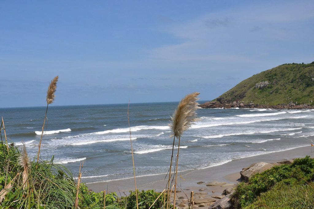 A Ilha do Mel vale a pena para quem procura natureza, praias, caminhadas e uma viagem com menos circulação de veículos e construções urbanas.