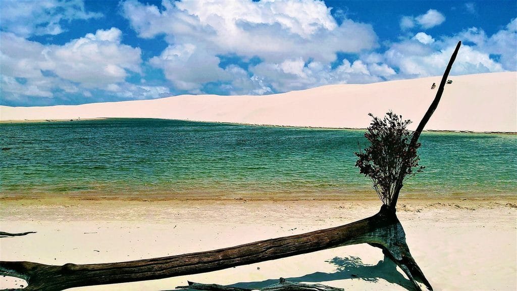 Lençóis Maranhenses: como chegar, quando ir e roteiro - Lençóis Maranhenses,Barreirinhas,Atins,Santo Amaro,Circuito Lagoa Azul - Destinos As lagoas são abastecidas principalmente pelas chuvas. Como o volume varia de um ano para outro, não existe uma data capaz de garantir que todas estarão cheias.