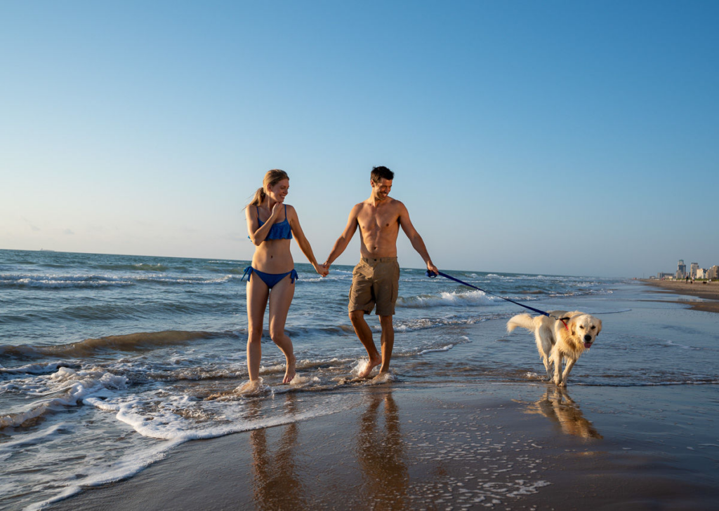 Vai Viajar com seu Pet? 7 Hotéis e Resorts que aceitam Pet - pet - Dicas de viagens Pet
