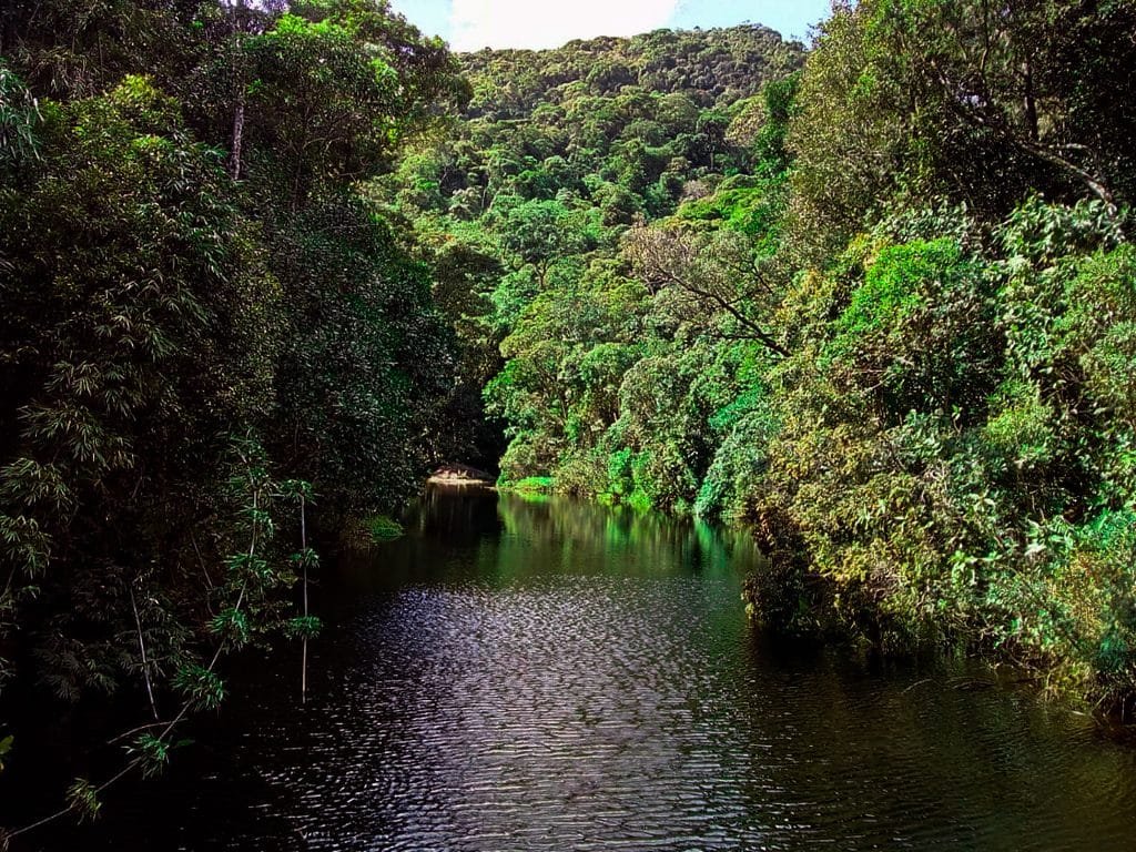 O que fazer em Petrópolis: atrações e roteiro de viagem - Petropolis - Roteiros Parque Nacional da Serra dos Órgãos