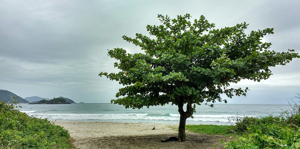 7 destinos incríveis para curtir o verão no Brasil - verao,Noronha,Rio,Florianópolis,Salvador - Destinos 7 destinos incríveis para curtir o verão no Brasil - verao,Noronha,Rio,Florianópolis,Salvador - Destinos