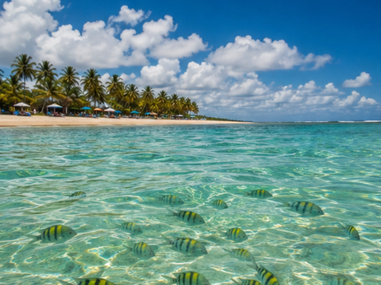 Porto de Galinhas: guia completo para planejar sua viagem - Porto de Galinhas - Brasil Porto de Galinhas: guia completo para planejar sua viagem - Porto de Galinhas - Brasil