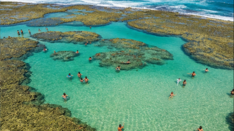 Porto de Galinhas: guia completo para planejar sua viagem - Porto de Galinhas - Brasil Porto de Galinhas: guia completo para planejar sua viagem - Porto de Galinhas - Brasil