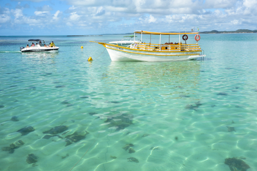 Maragogi ou Porto de Galinhas: qual destino escolher? - Maragogi ou Porto de Galinhas - Nordeste Piscinas naturais de Maragogi