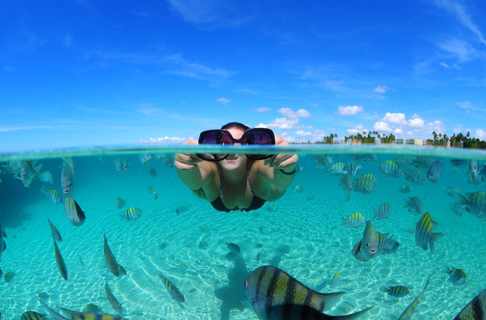 Maragogi ou Porto de Galinhas: qual destino escolher? - Maragogi ou Porto de Galinhas - Nordeste Maragogi ou Porto de Galinhas: qual destino escolher? - Maragogi ou Porto de Galinhas - Nordeste