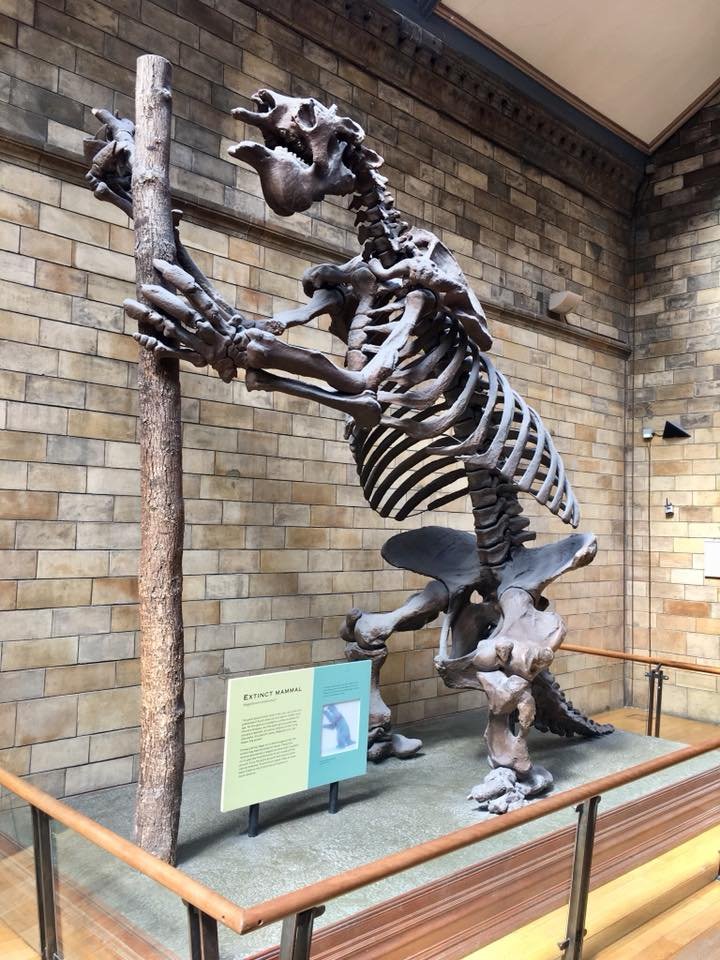 Natural History Museum