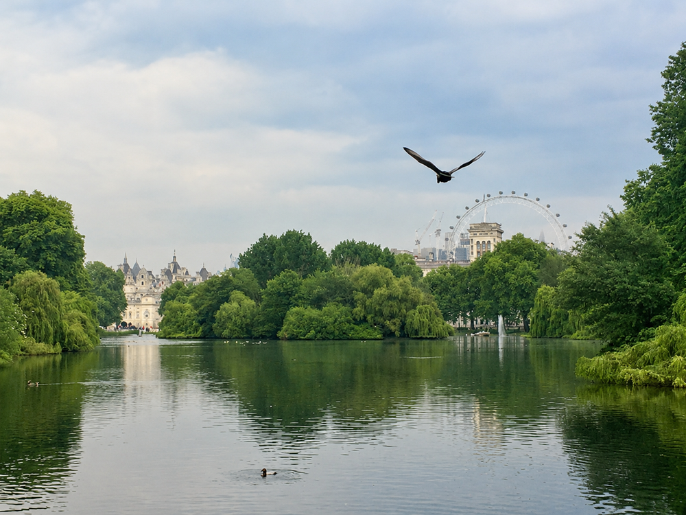 O St. James's Park é particularmente conveniente porque fica junto à região de Buckingham Palace.